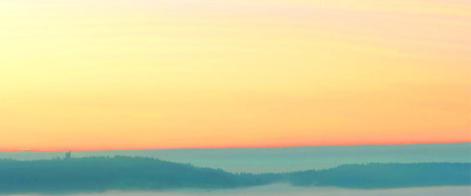 Documentary backdrop image for Heal the Land (2024)