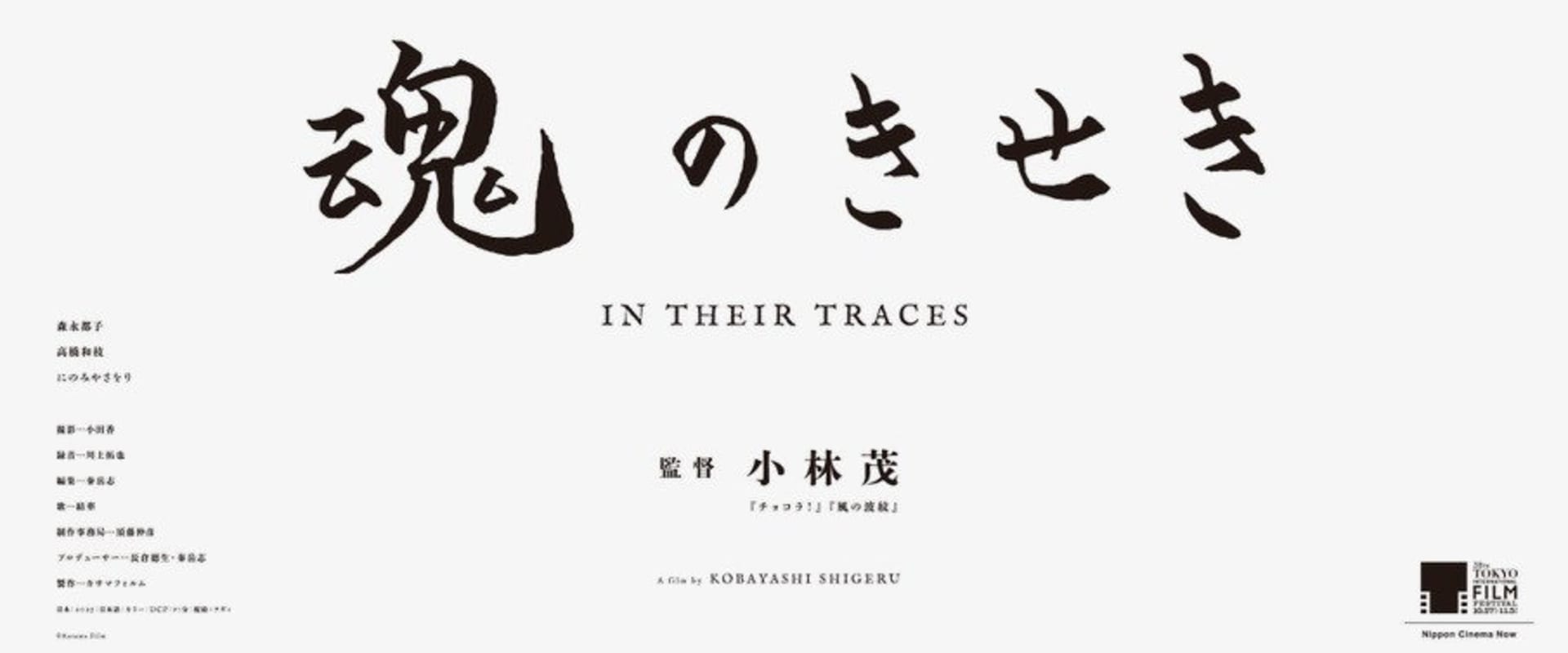 Documentary backdrop image for In Their Traces (2025)