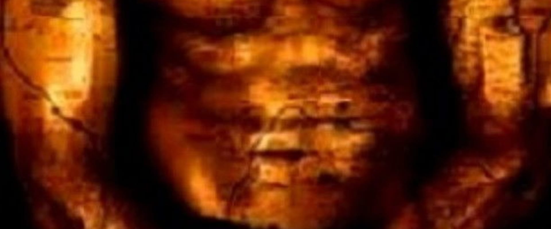 Documentary backdrop image for Afghan Muscles (2006)