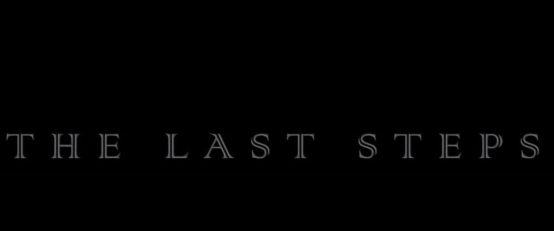 Documentary backdrop image for The Last Steps (2016)