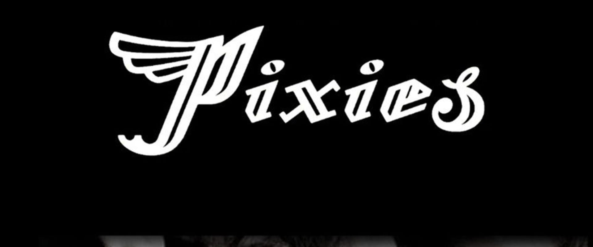 Documentary backdrop image for Pixies: Gouge (2004)