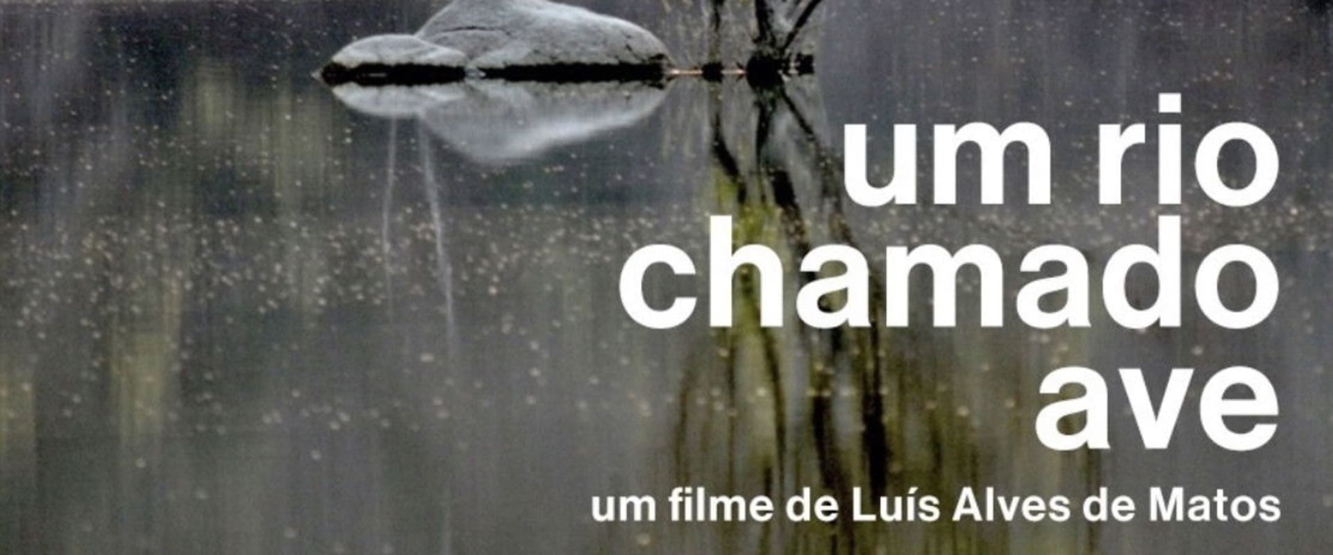 Documentary backdrop image for Um Rio Chamado Ave (2012)