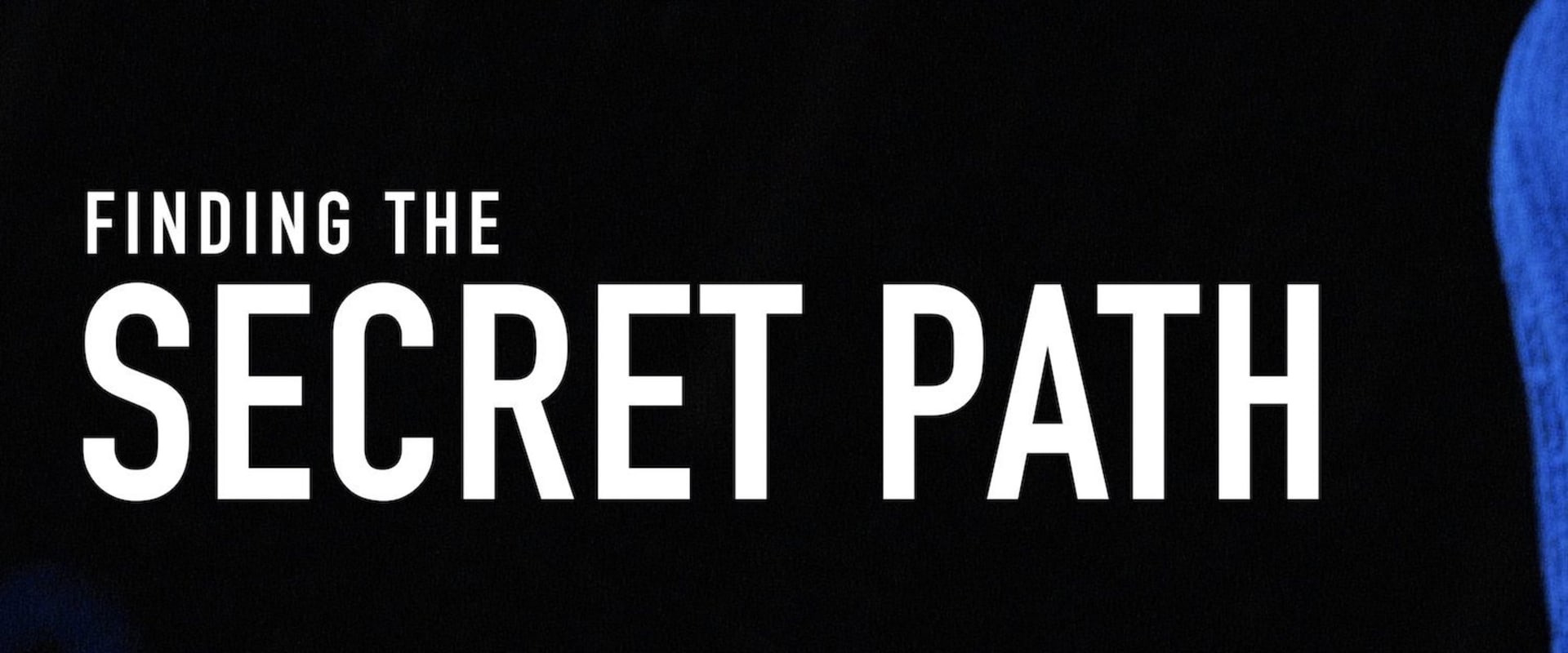 Documentary backdrop image for Finding the Secret Path (2018)