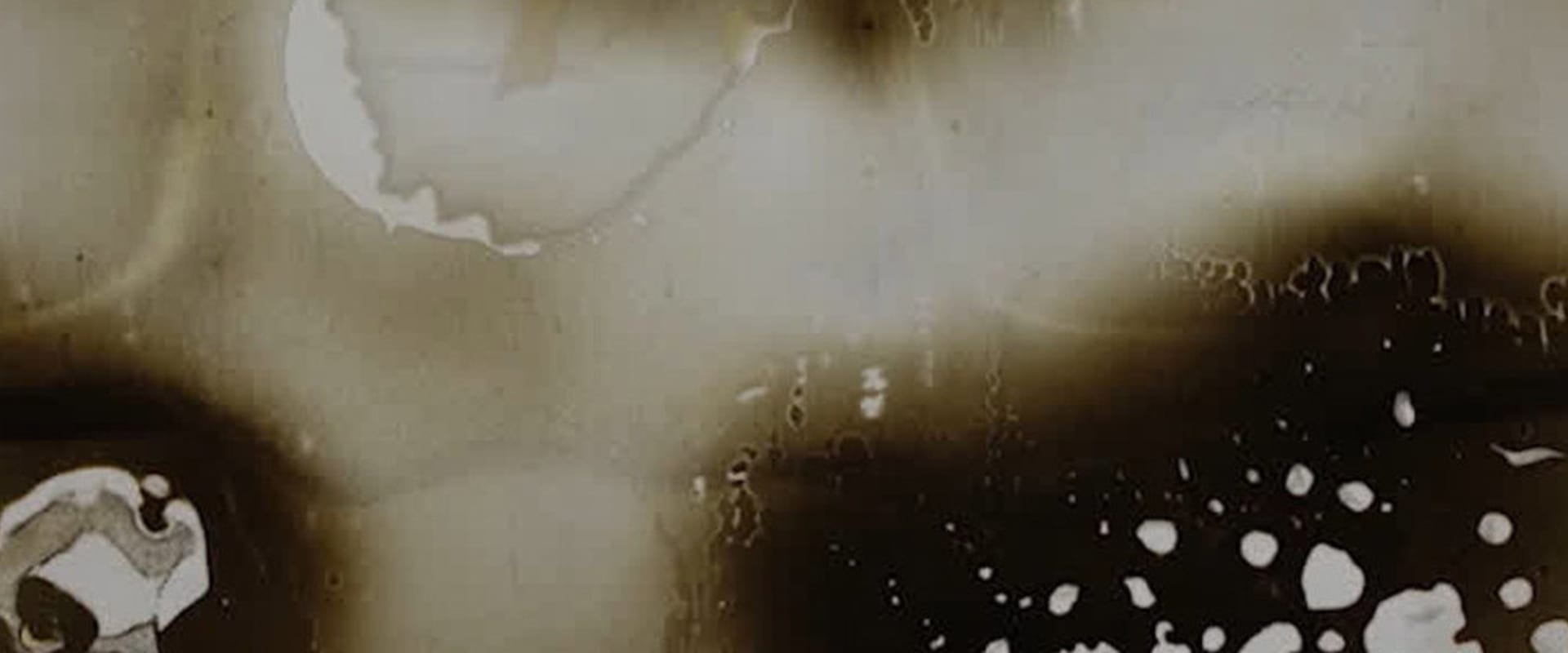 Documentary backdrop image for Wild Girl (2021)