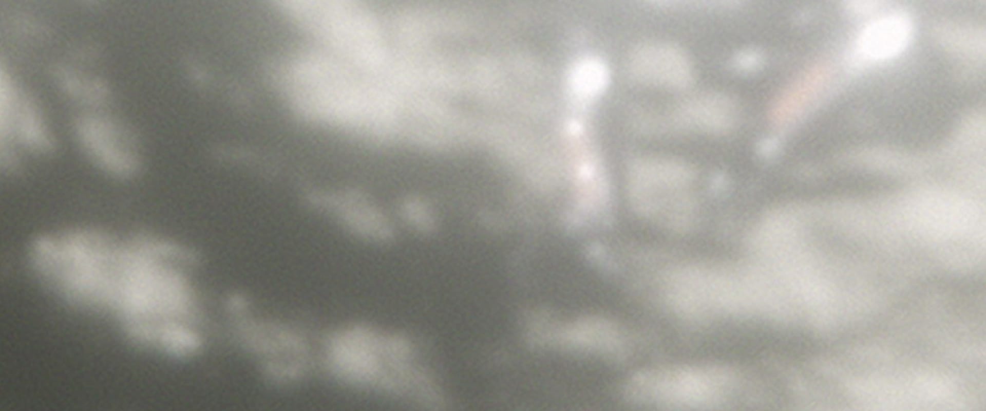Documentary backdrop image for Abstract Horror (2019)