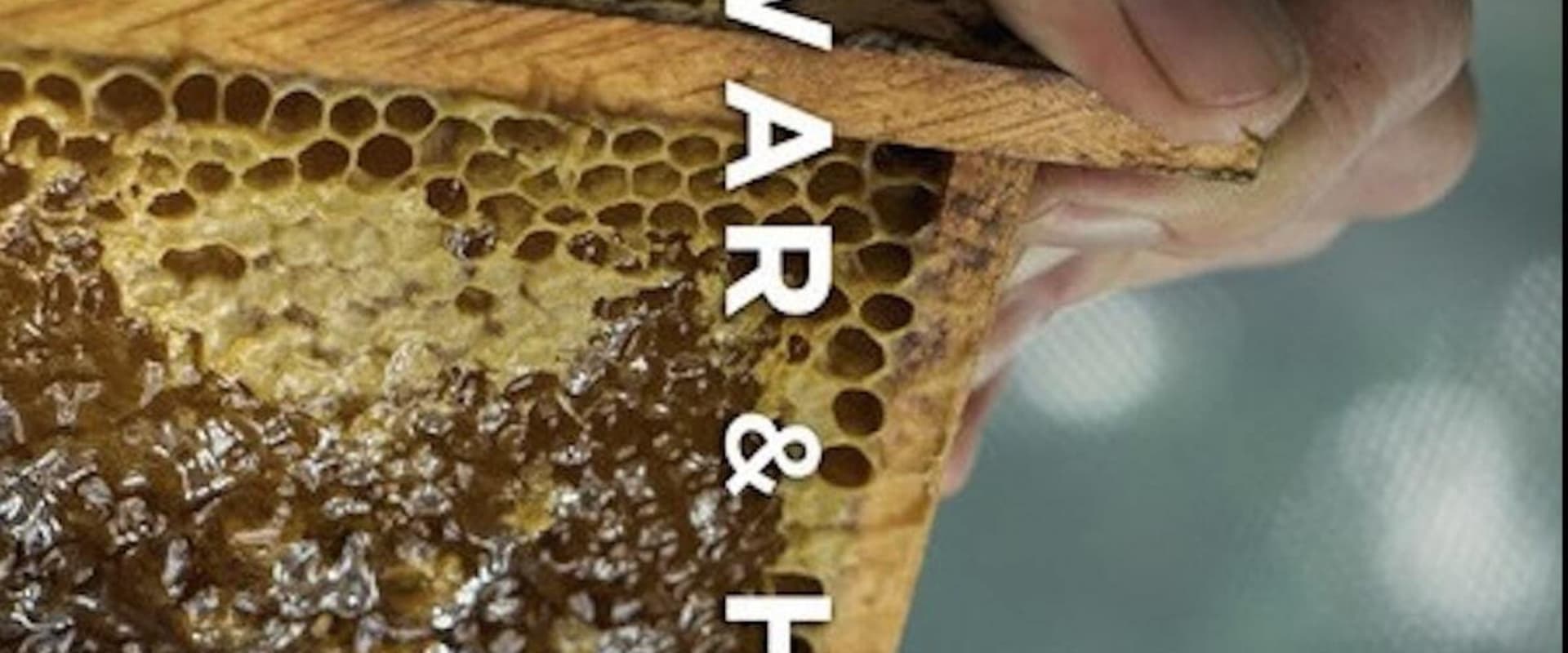 Documentary backdrop image for War & Honey (2021)