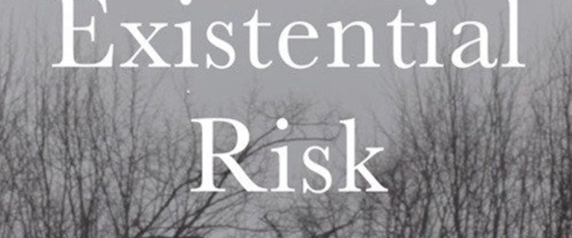 Documentary backdrop image for Existential Risk (2025)