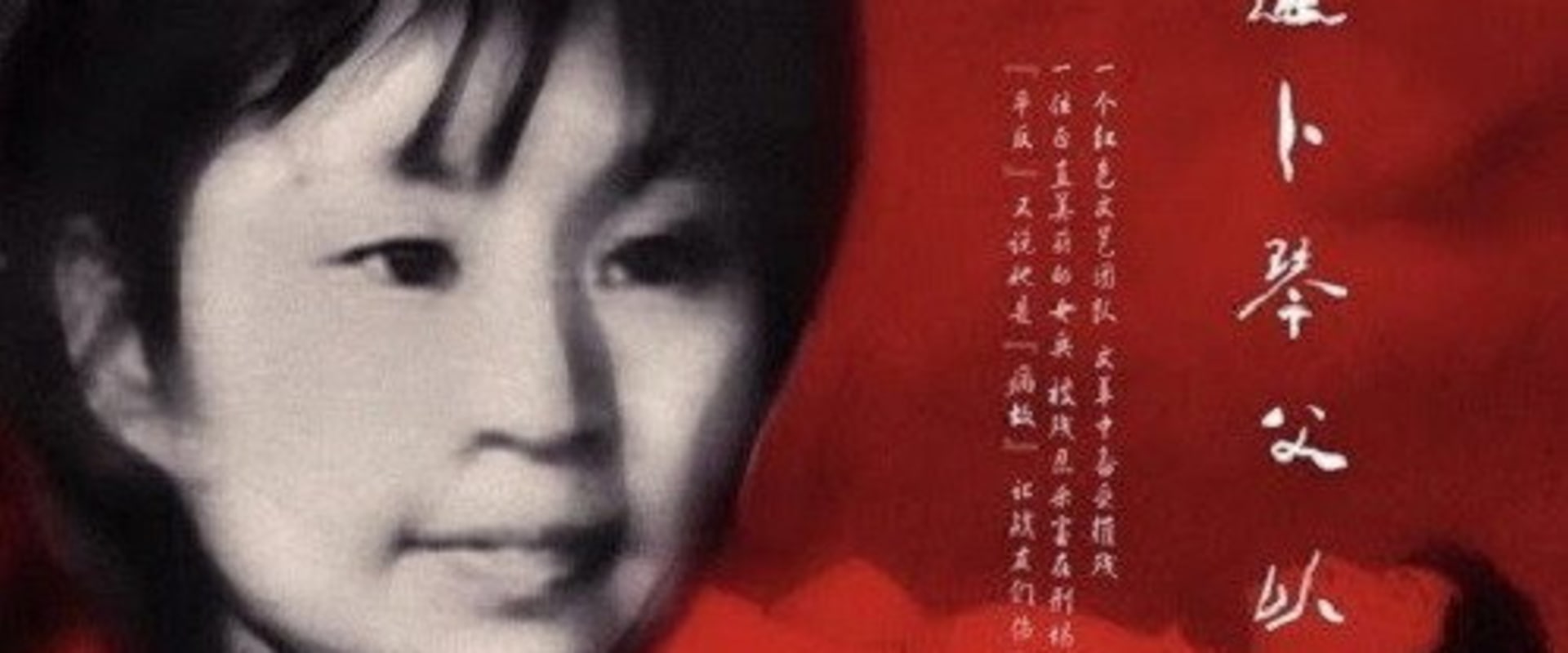 Documentary backdrop image for To Justify Bu Xinfu (2011)