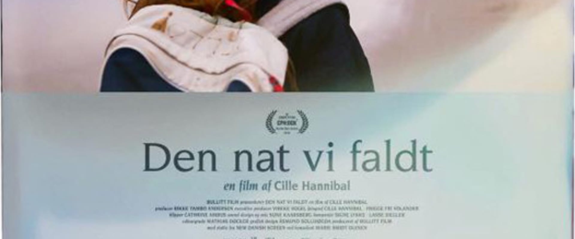 Documentary backdrop image for The Night We Fell (2018)