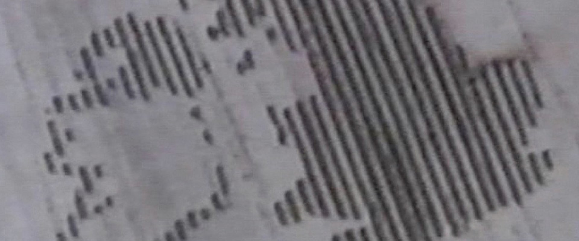Documentary backdrop image for MisinForMation (2010)