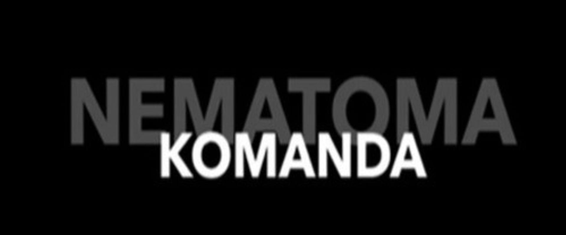 Documentary backdrop image for Nematoma komanda (2020)