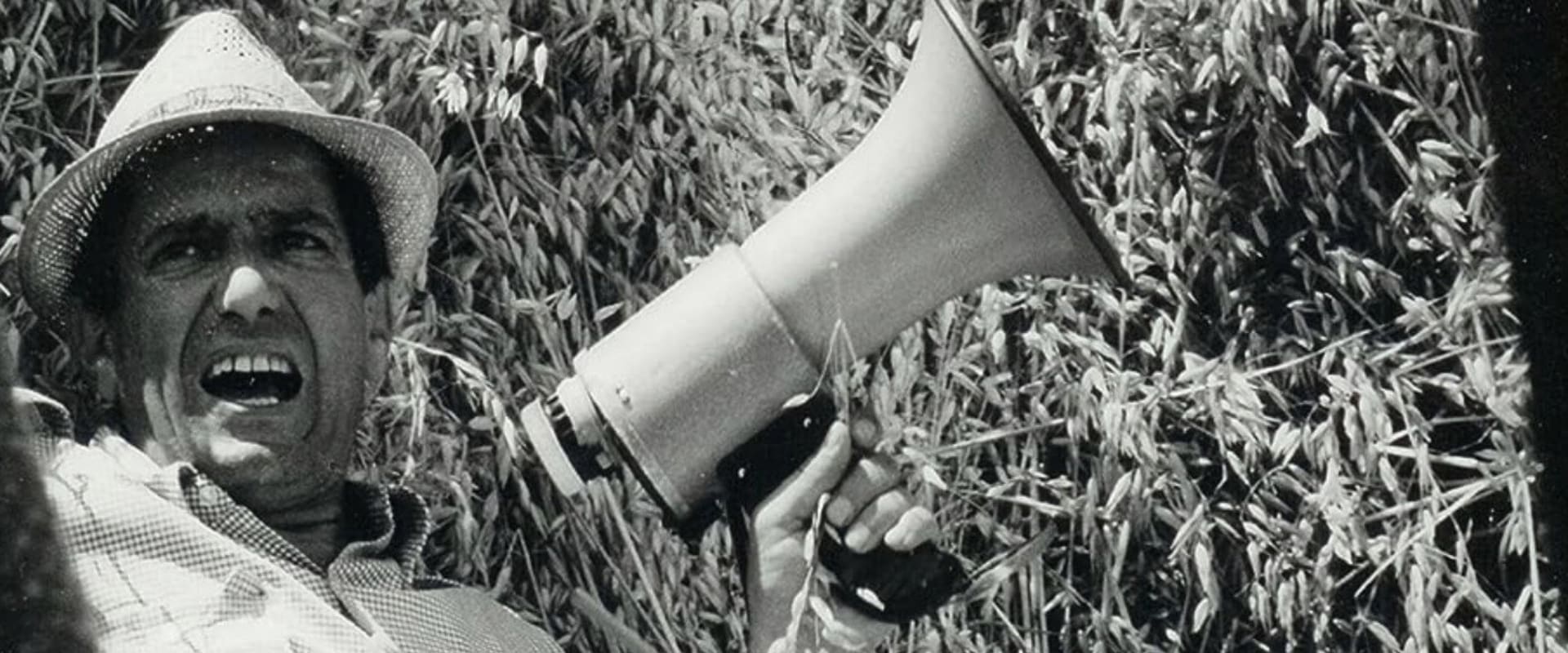 Documentary backdrop image for Linee d'ombra (2007)