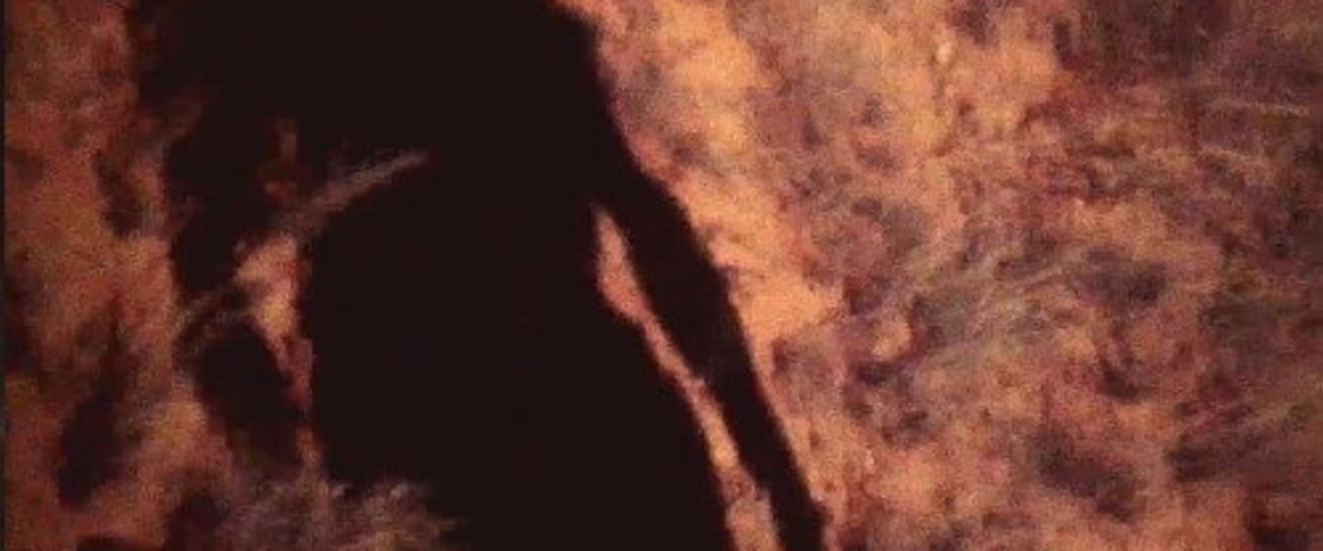 Documentary backdrop image for Rock Heart Fire (1985)