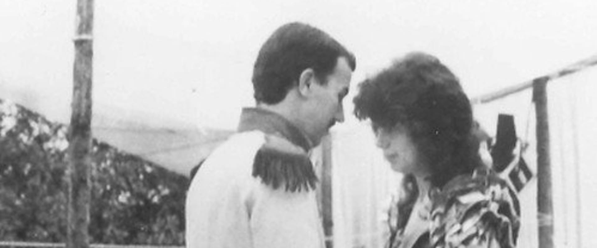 Documentary backdrop image for Stubborn Dreams (1990)
