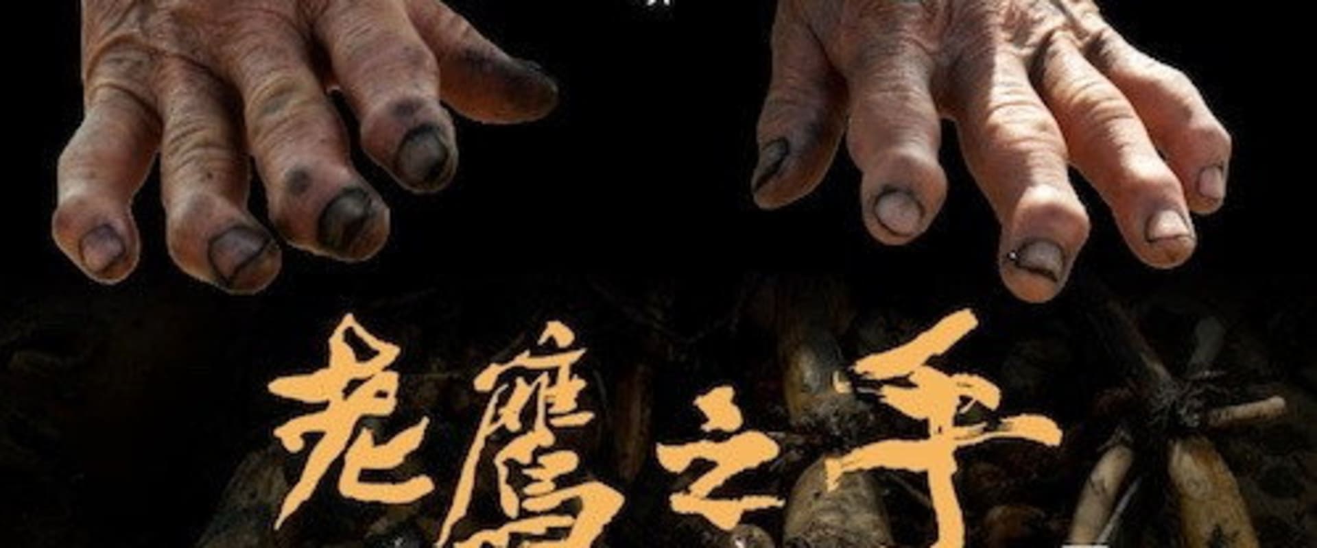 Documentary backdrop image for Eagle Hand (2021)