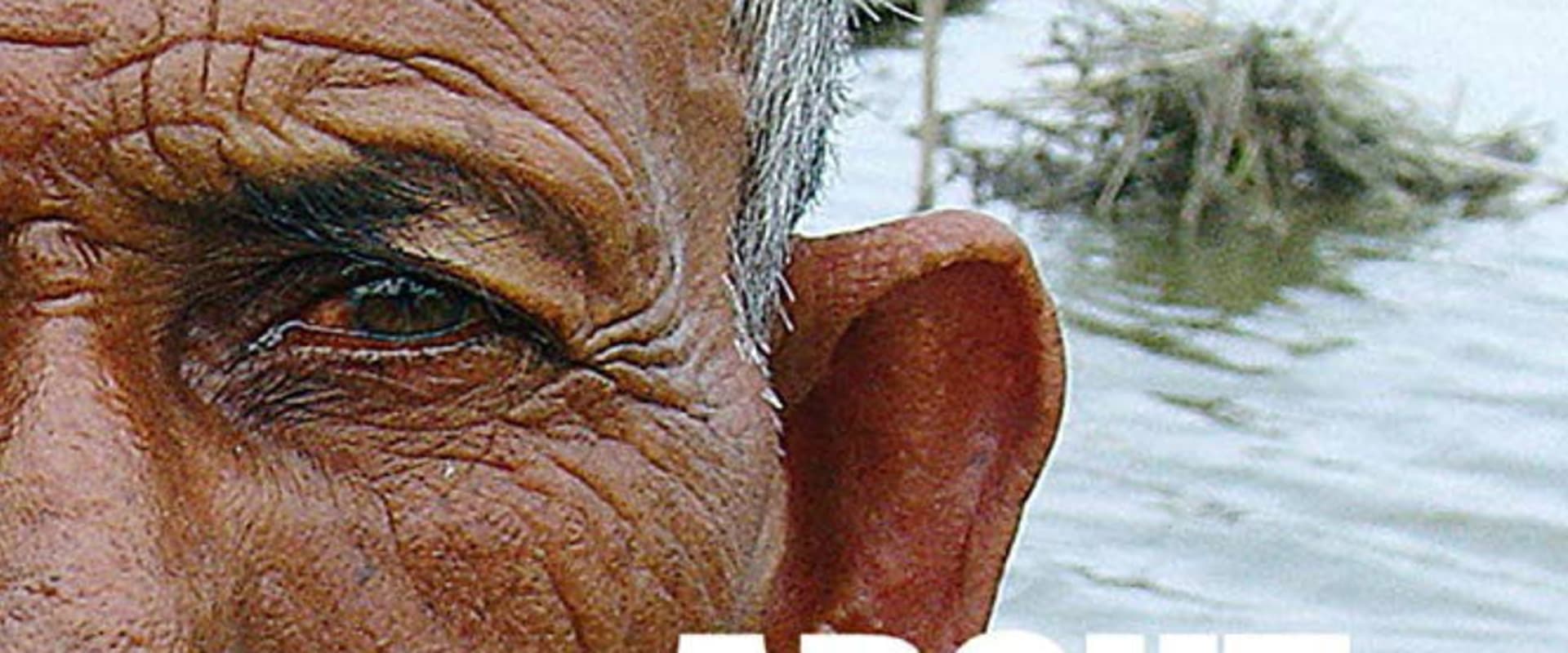 Documentary backdrop image for About Water (Uber Wasser) (2008)