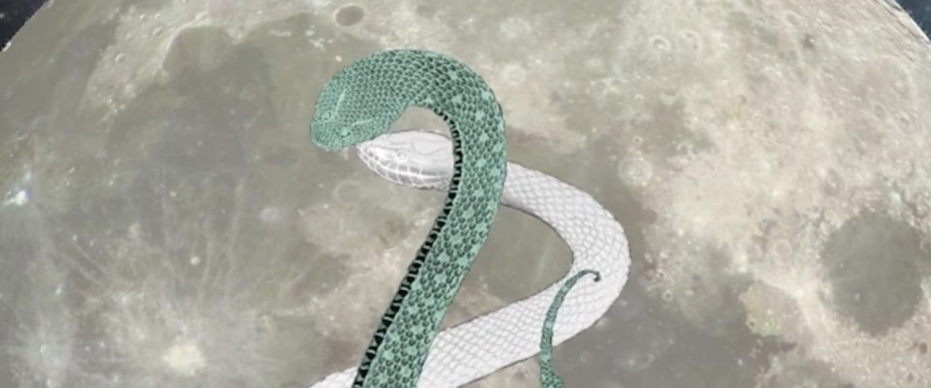 Documentary backdrop image for Two Snakes (2015)