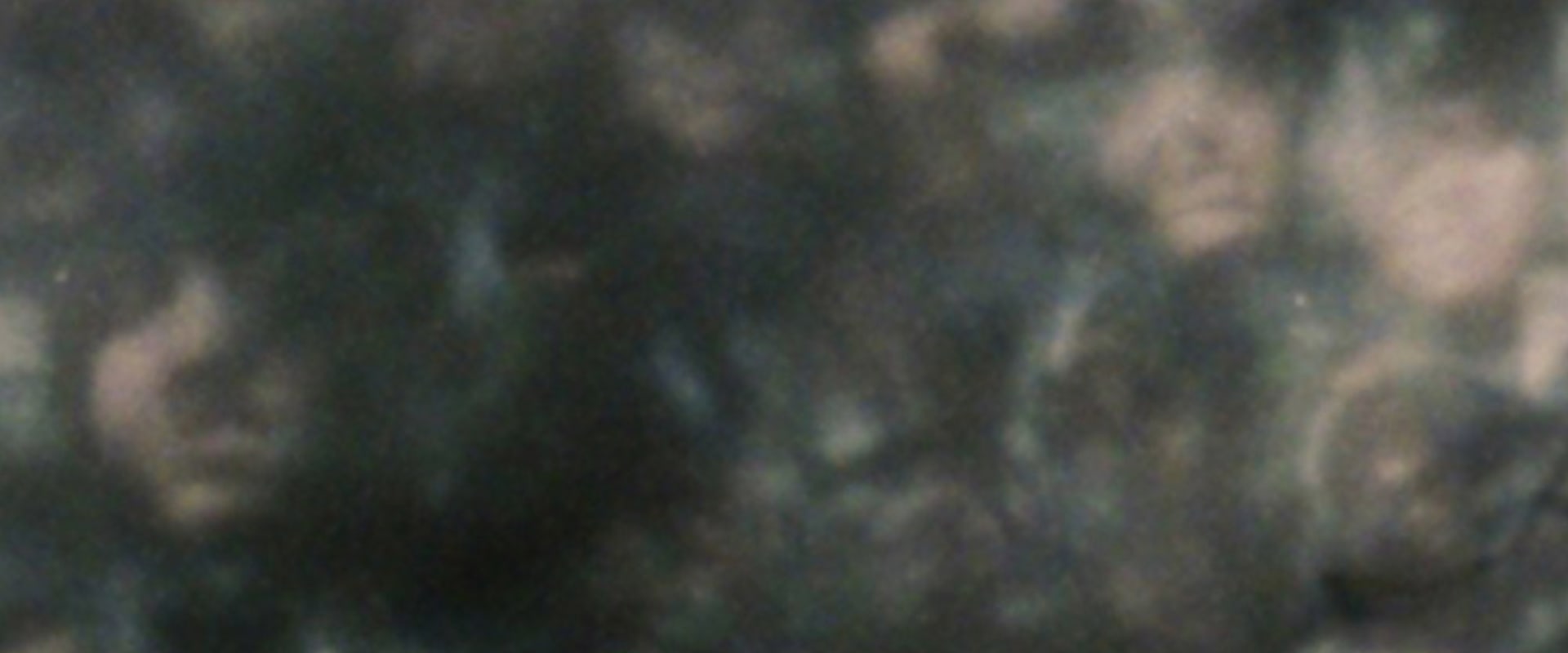 Documentary backdrop image for Self Portrait with Bag (2020)