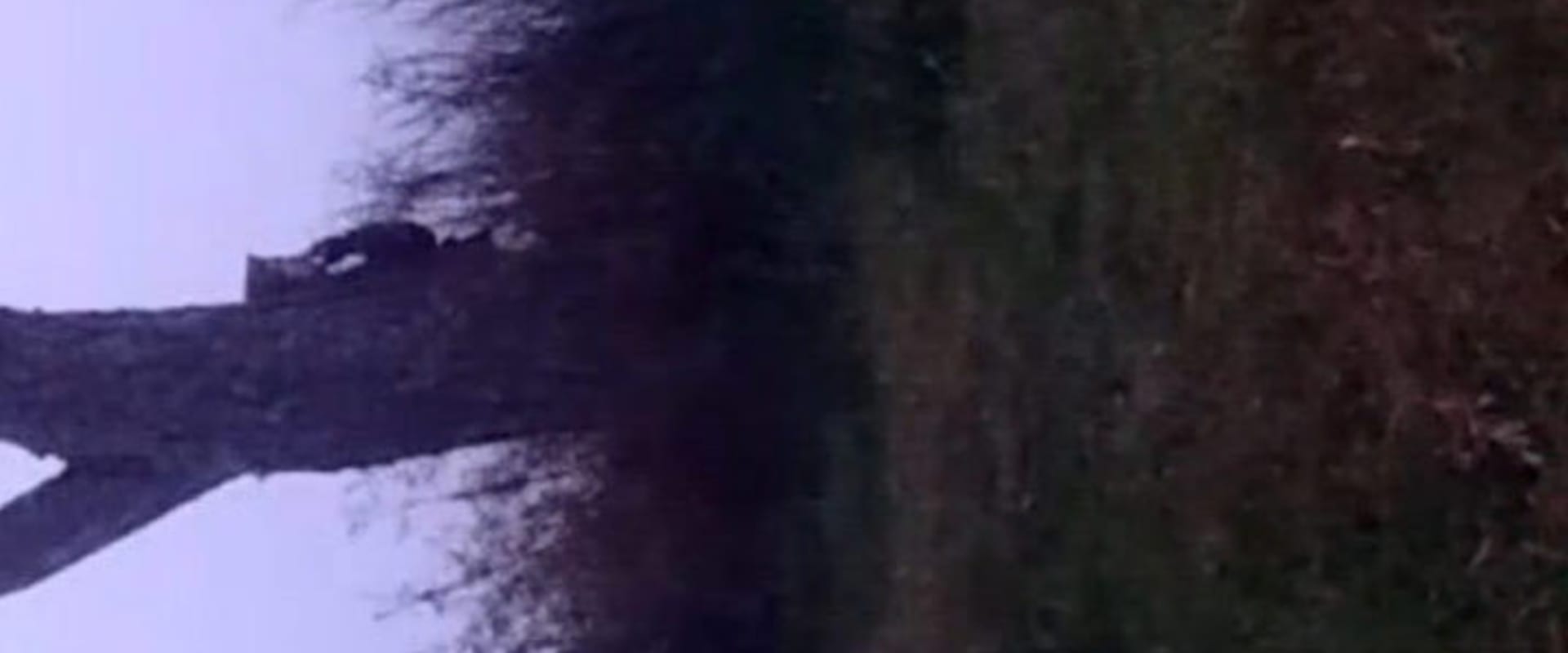 Documentary backdrop image for La balandra (2024)