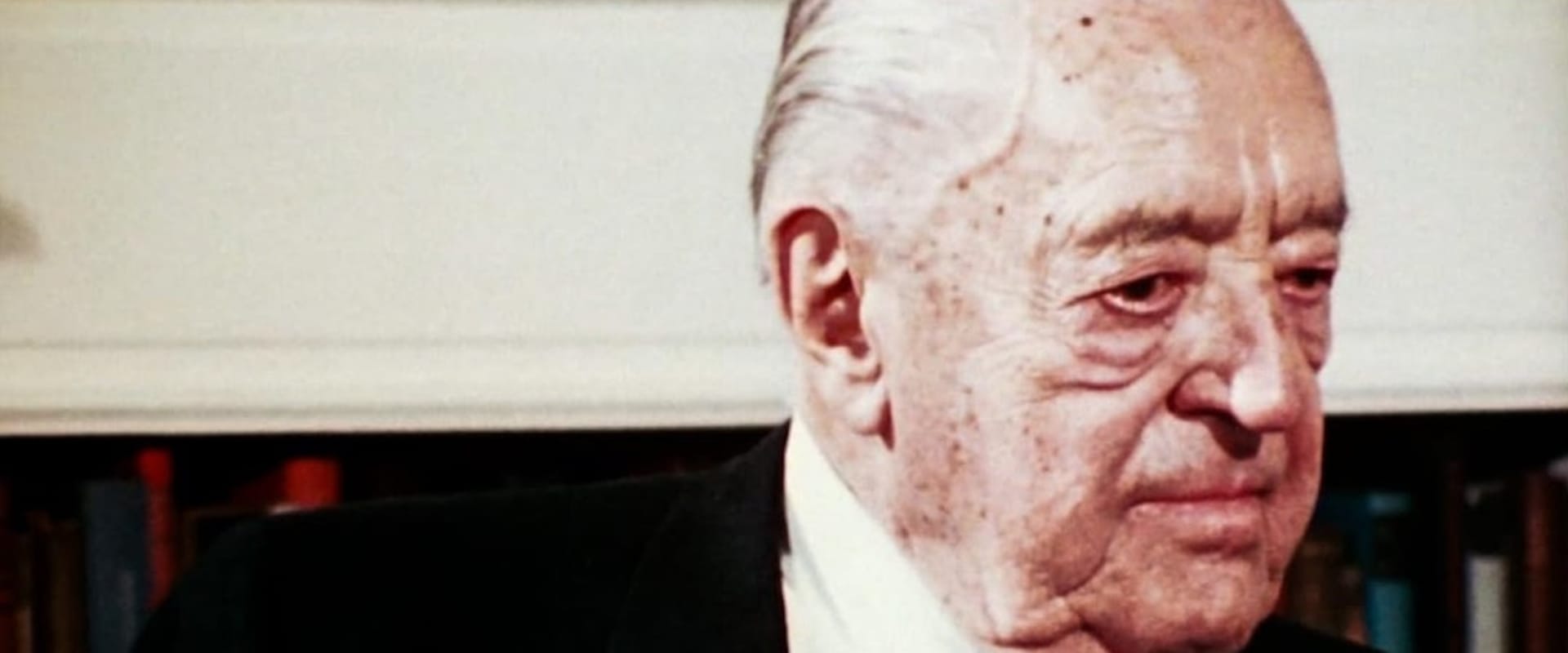 Documentary backdrop image for Mies (1986)