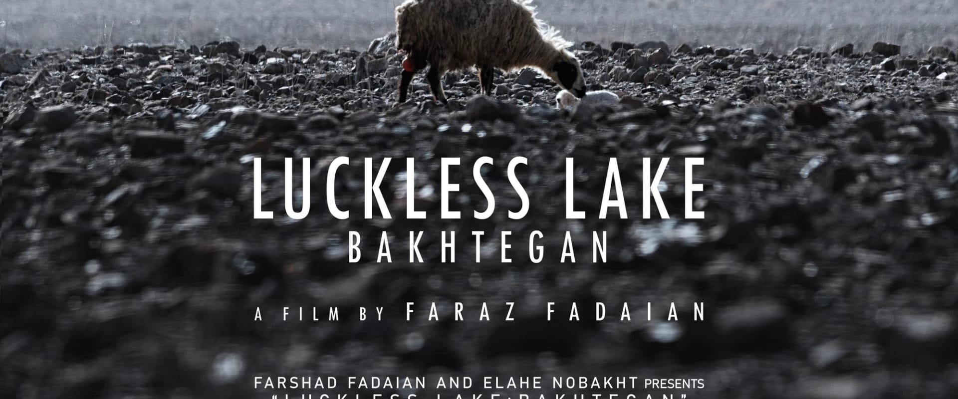 Documentary backdrop image for Luckless Lake (2024)