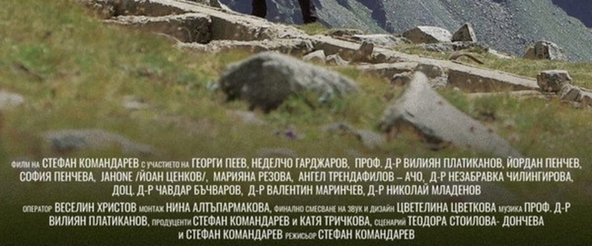 Documentary backdrop image for Life from Life (2021)