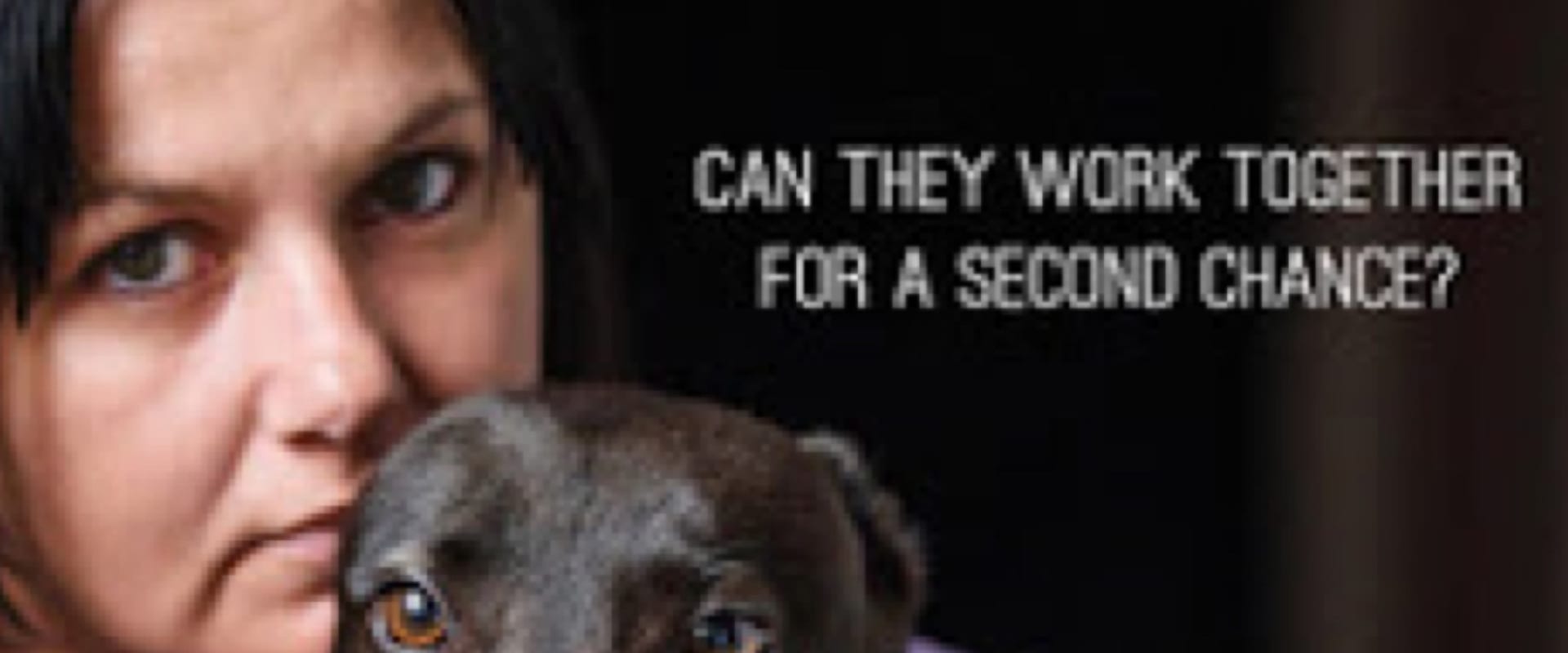 Documentary backdrop image for Prisoners and Pups (2017)