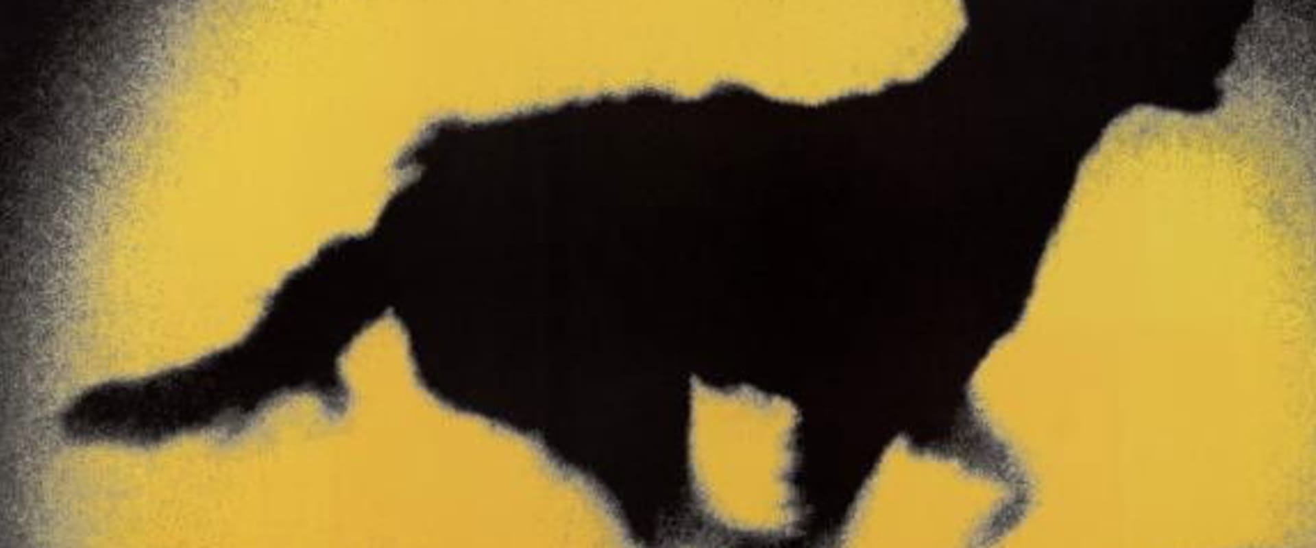 Documentary backdrop image for The Second Shore (1993)