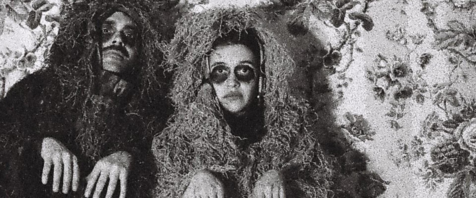 Documentary backdrop image for Taxidermize Me (2021)
