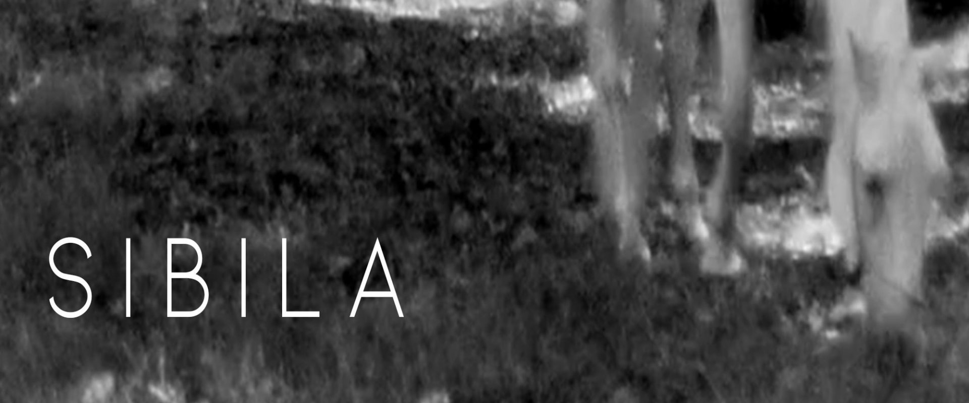 Documentary backdrop image for Sibila (2017)