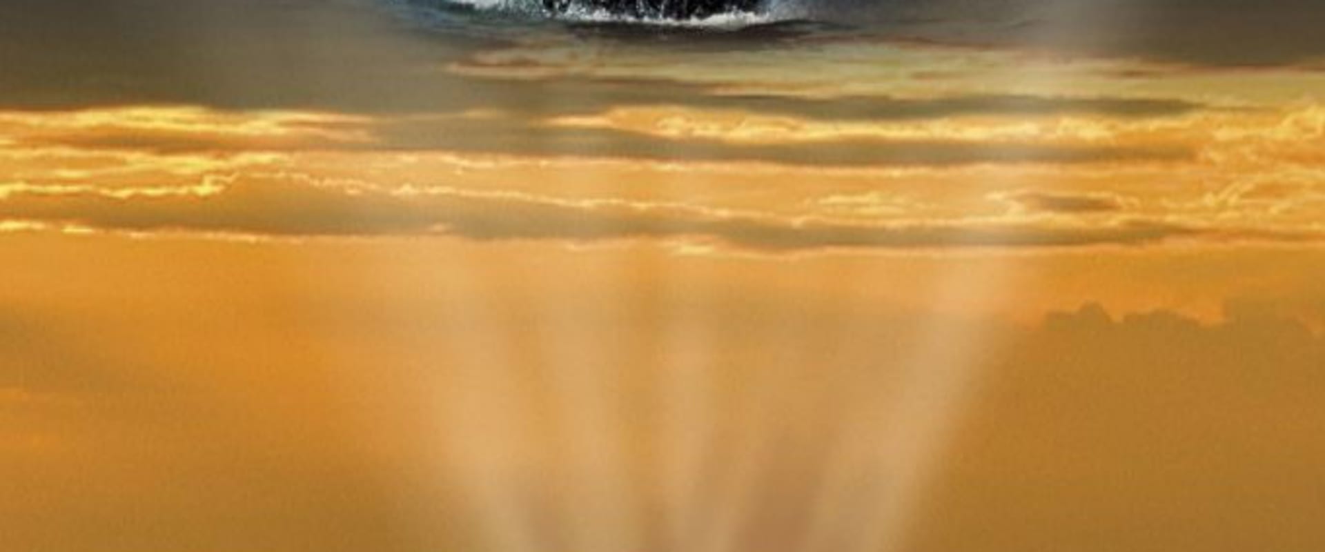 Documentary backdrop image for Whaledreamers (2006)