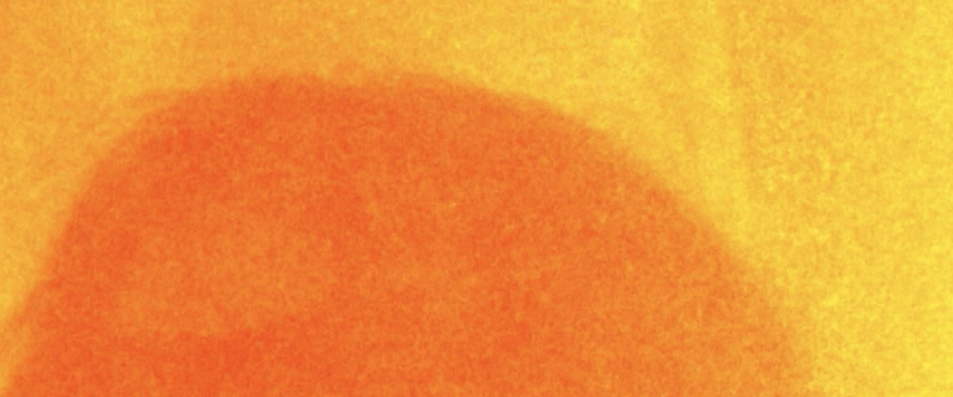 Documentary backdrop image for Saffron Mourning (2020)