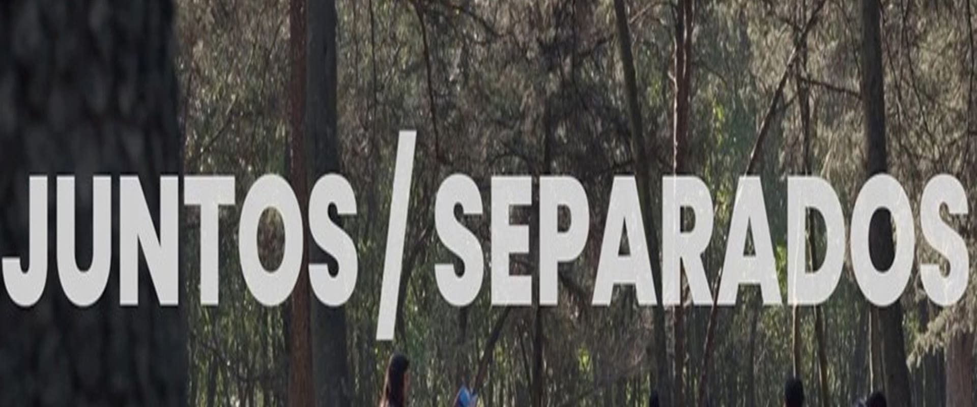 Documentary backdrop image for Together / Apart (2025)
