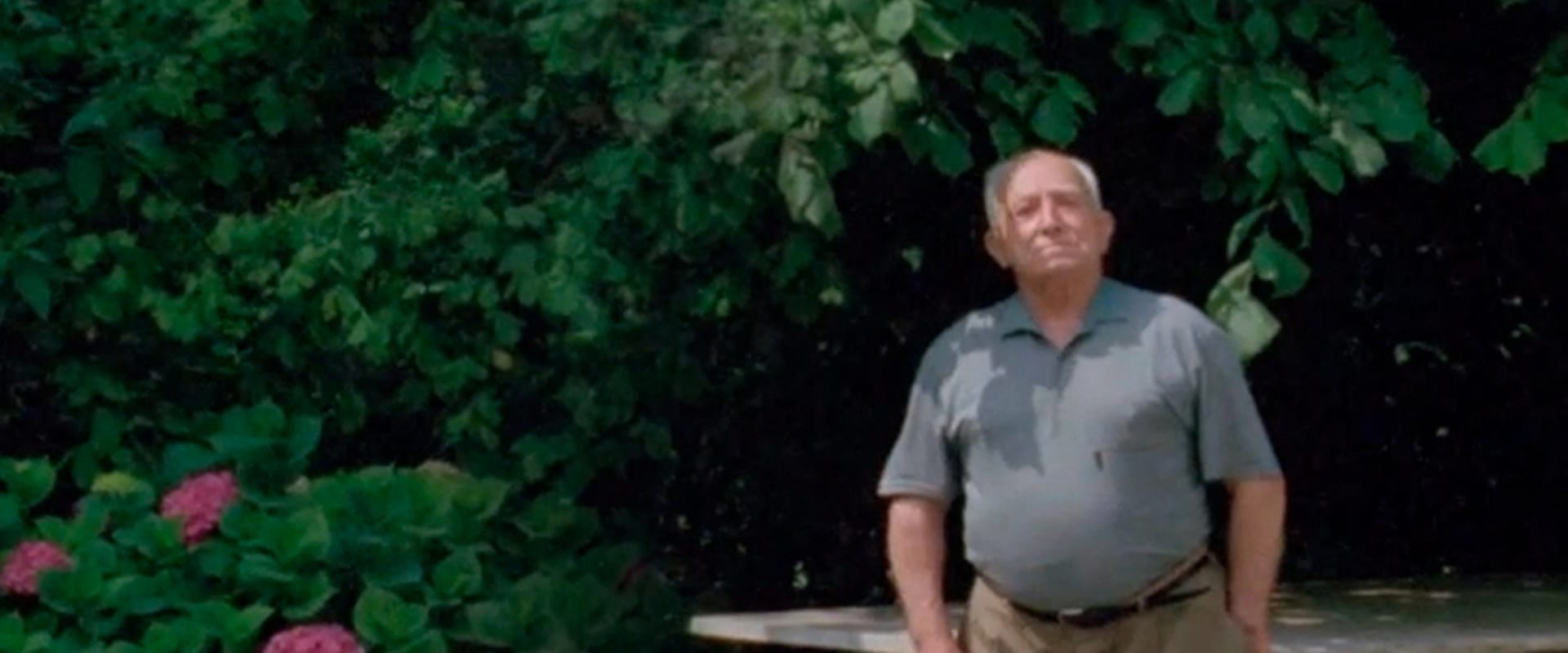 Documentary backdrop image for Dolando (2002)