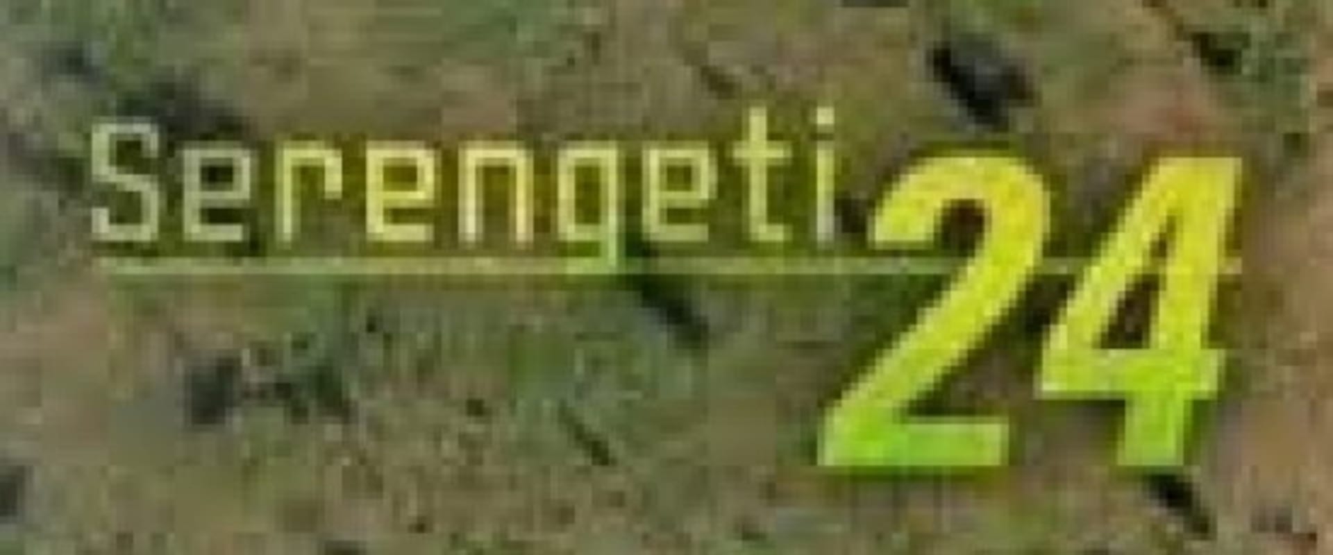 Documentary backdrop image for Serengeti 24 (2005)