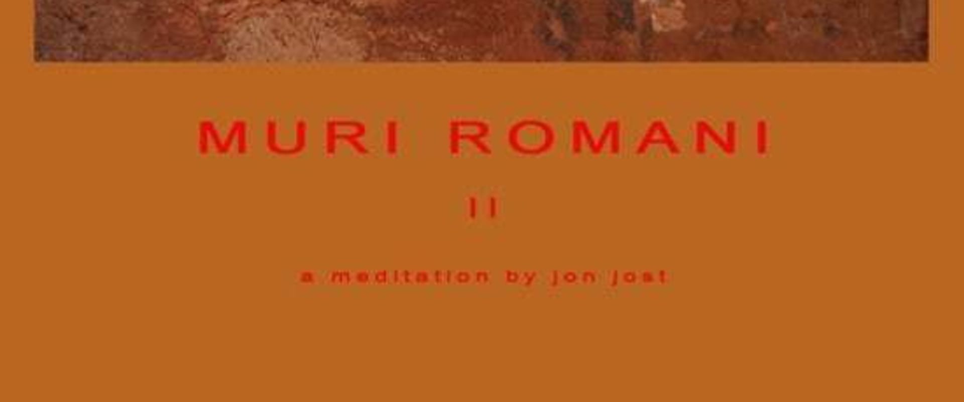Documentary backdrop image for Muri Romani II (2019)