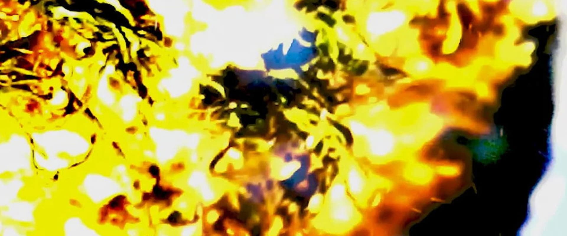 Documentary backdrop image for Through the Rift (2021)