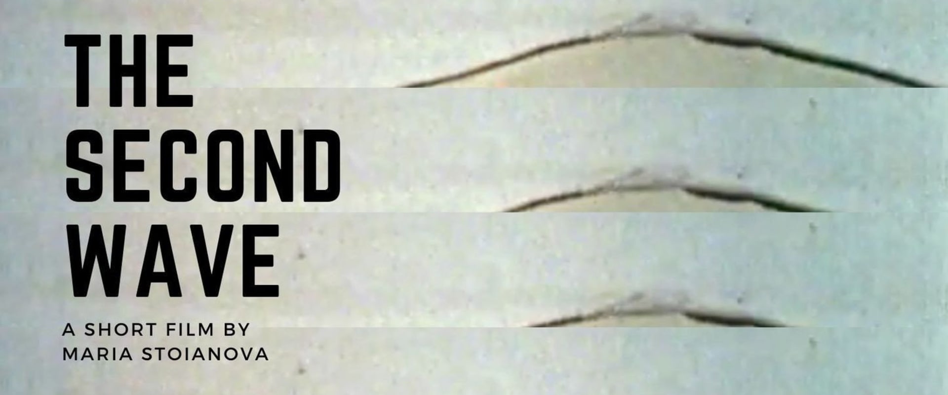 Documentary backdrop image for The Second Wave (2021)