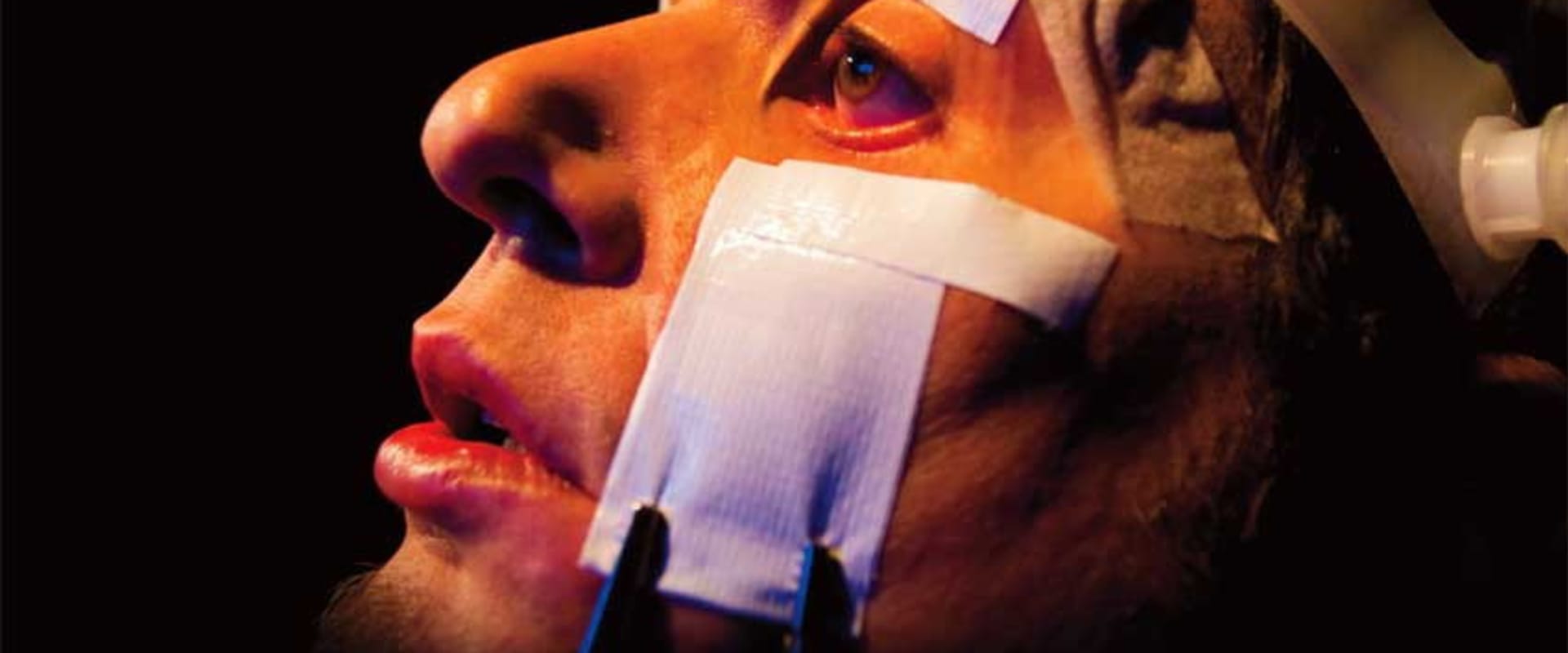 Documentary backdrop image for FilmeFobia (2008)