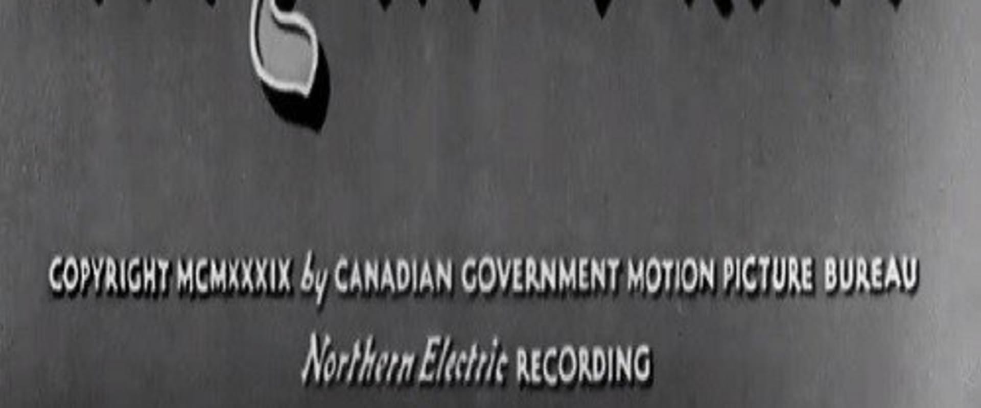 Documentary backdrop image for The Royal Visit (1939)