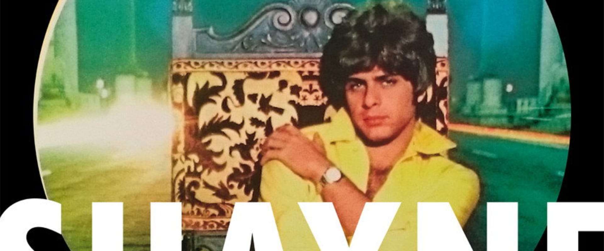Documentary backdrop image for Shayne (2019)