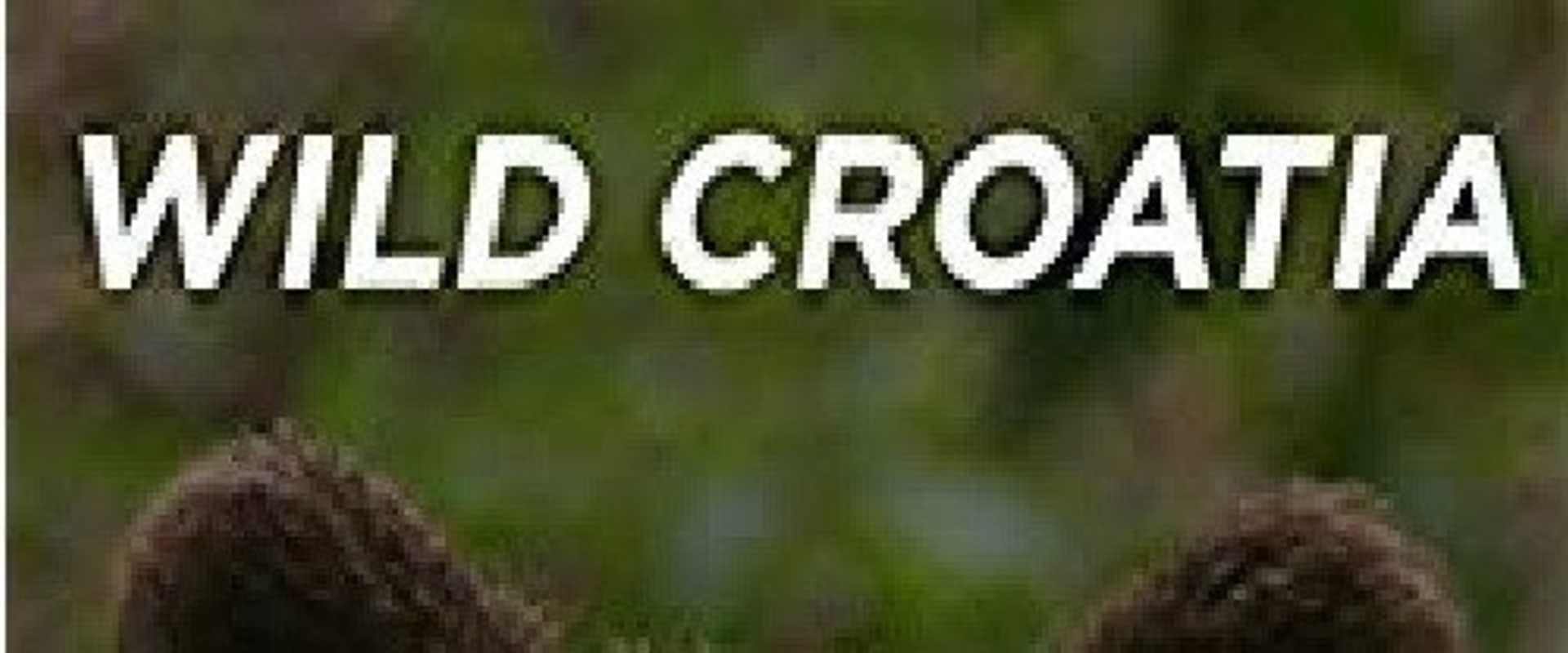 Documentary backdrop image for Wild Croatia (2009)