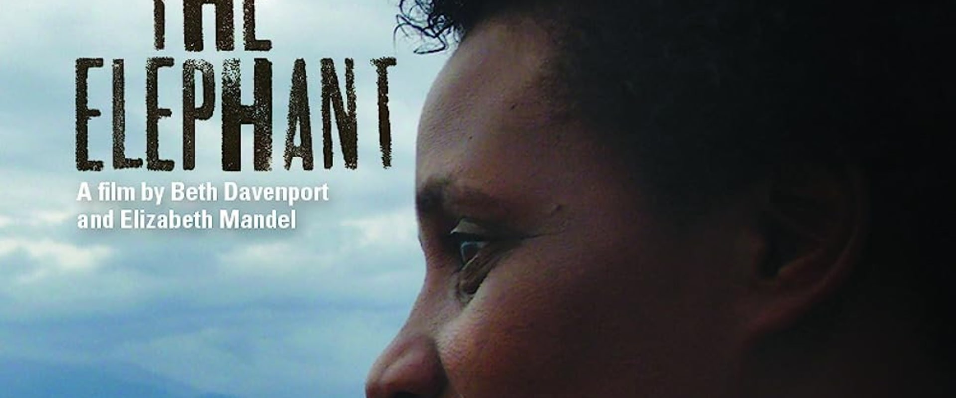Documentary backdrop image for Pushing the Elephant (2010)
