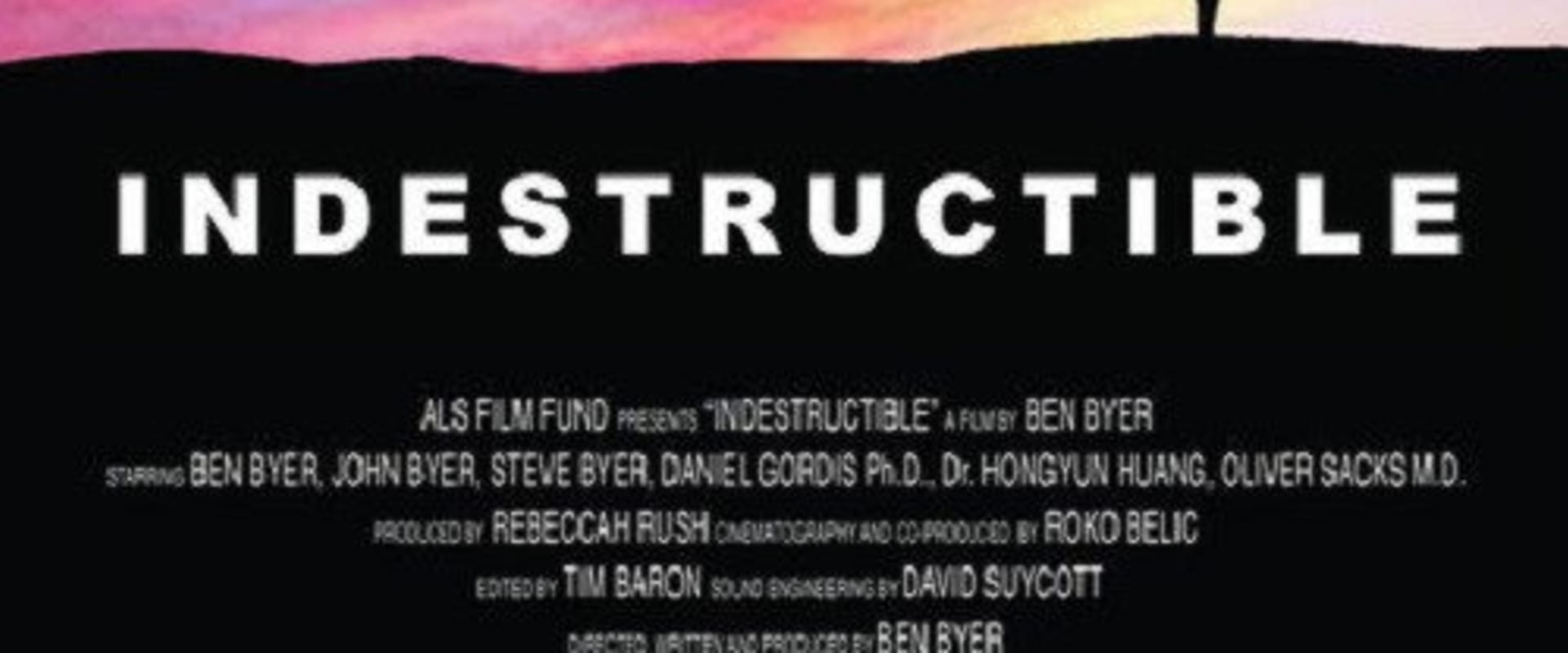 Documentary backdrop image for Indestructible (2008)