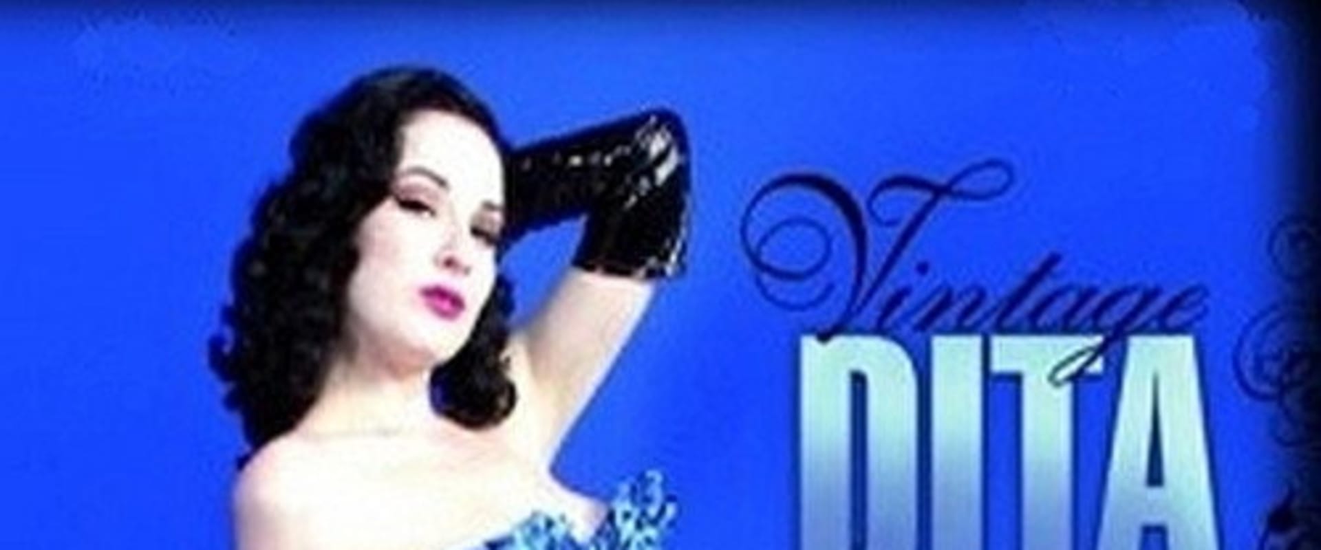 Documentary backdrop image for Vintage Dita (2008)