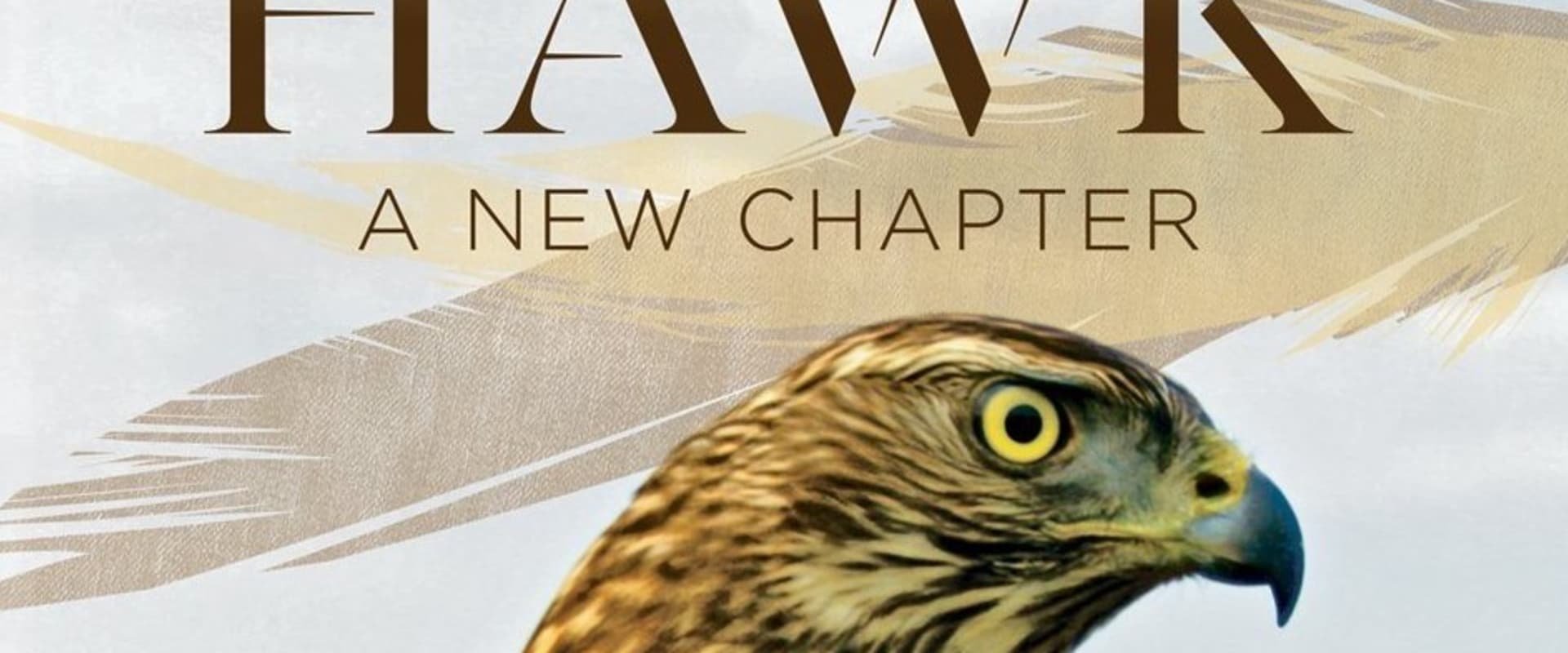 Documentary backdrop image for H Is for Hawk: A New Chapter (2017)