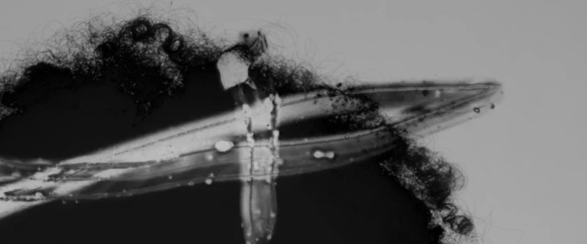 Documentary backdrop image for Mix (2026)