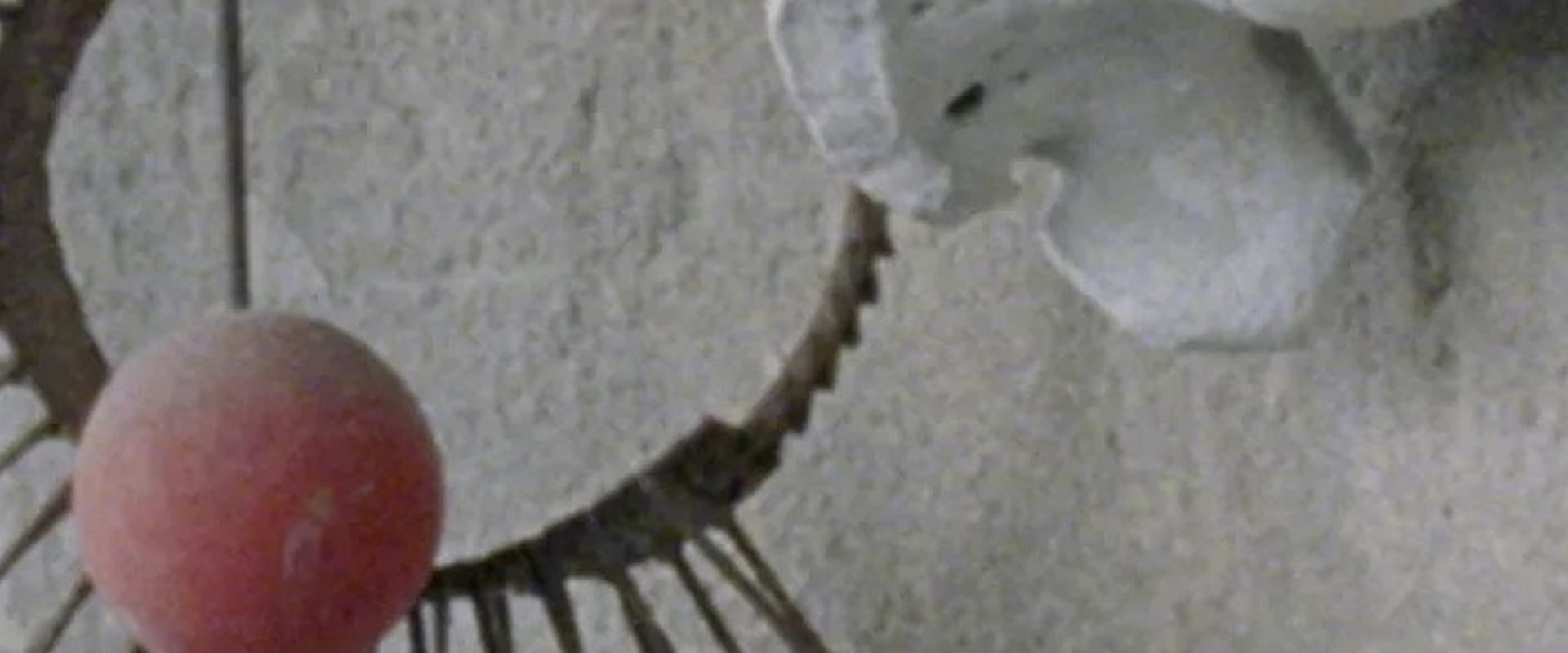 Documentary backdrop image for Enigmatic Whisper (2018)