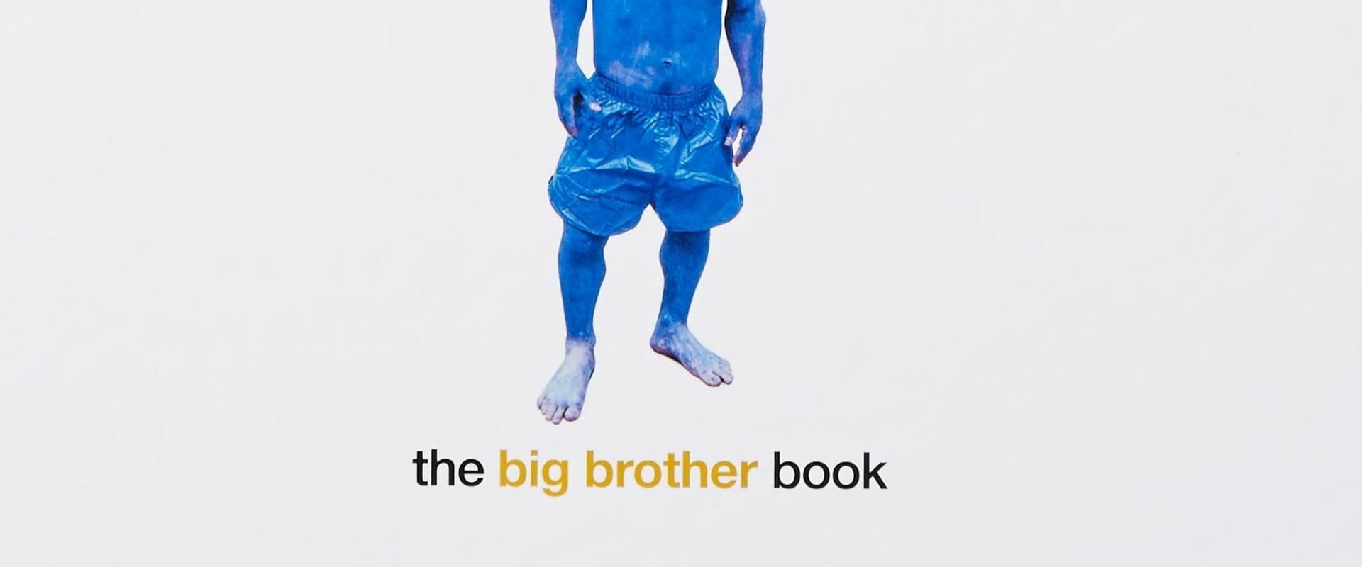 Documentary backdrop image for Big Brother: Shit (1996)