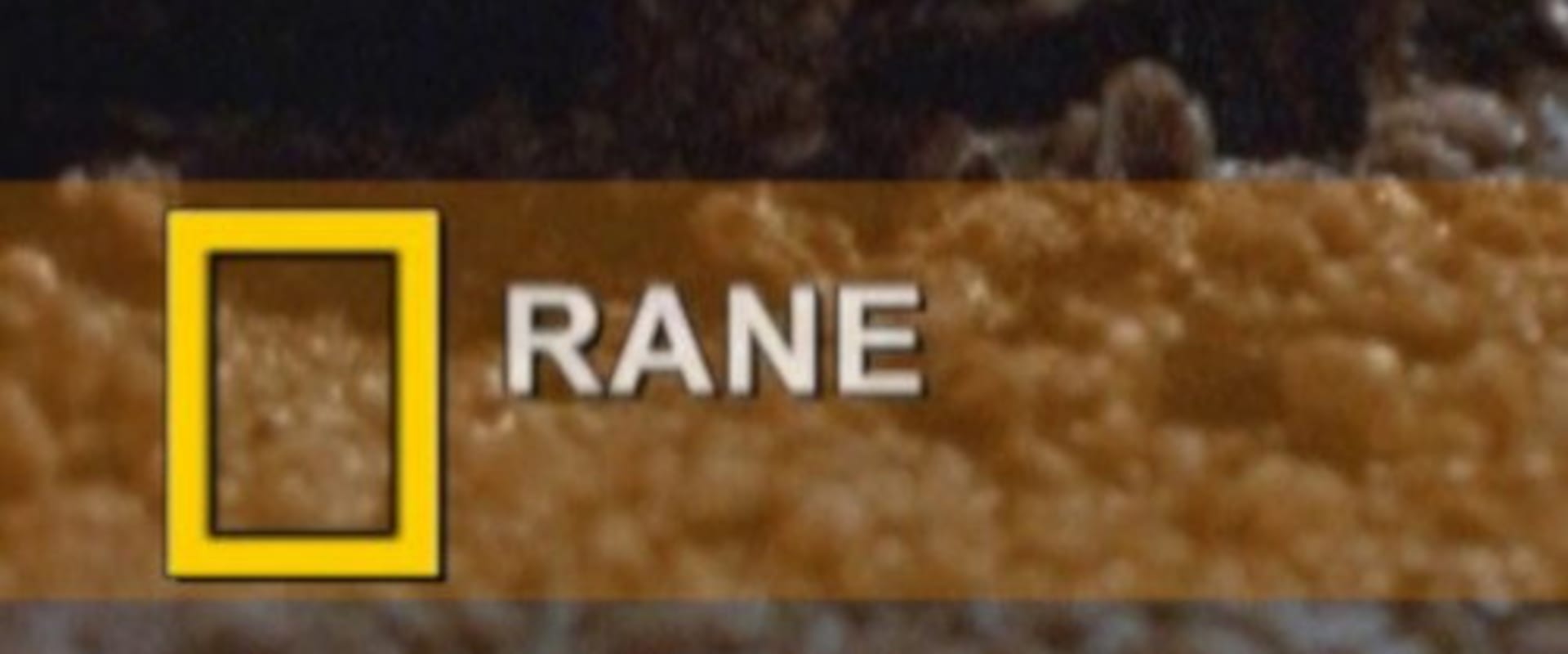 Documentary backdrop image for Fearsome Frogs (2000)